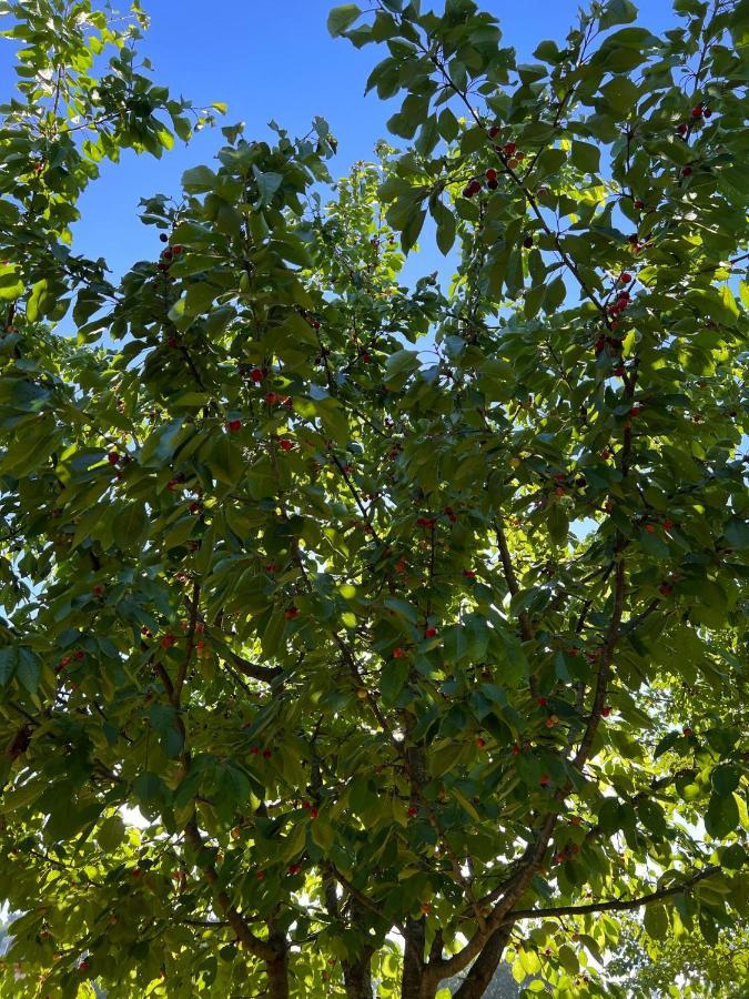لوكا Borgo Al Canto Degli Alberi المظهر الخارجي الصورة