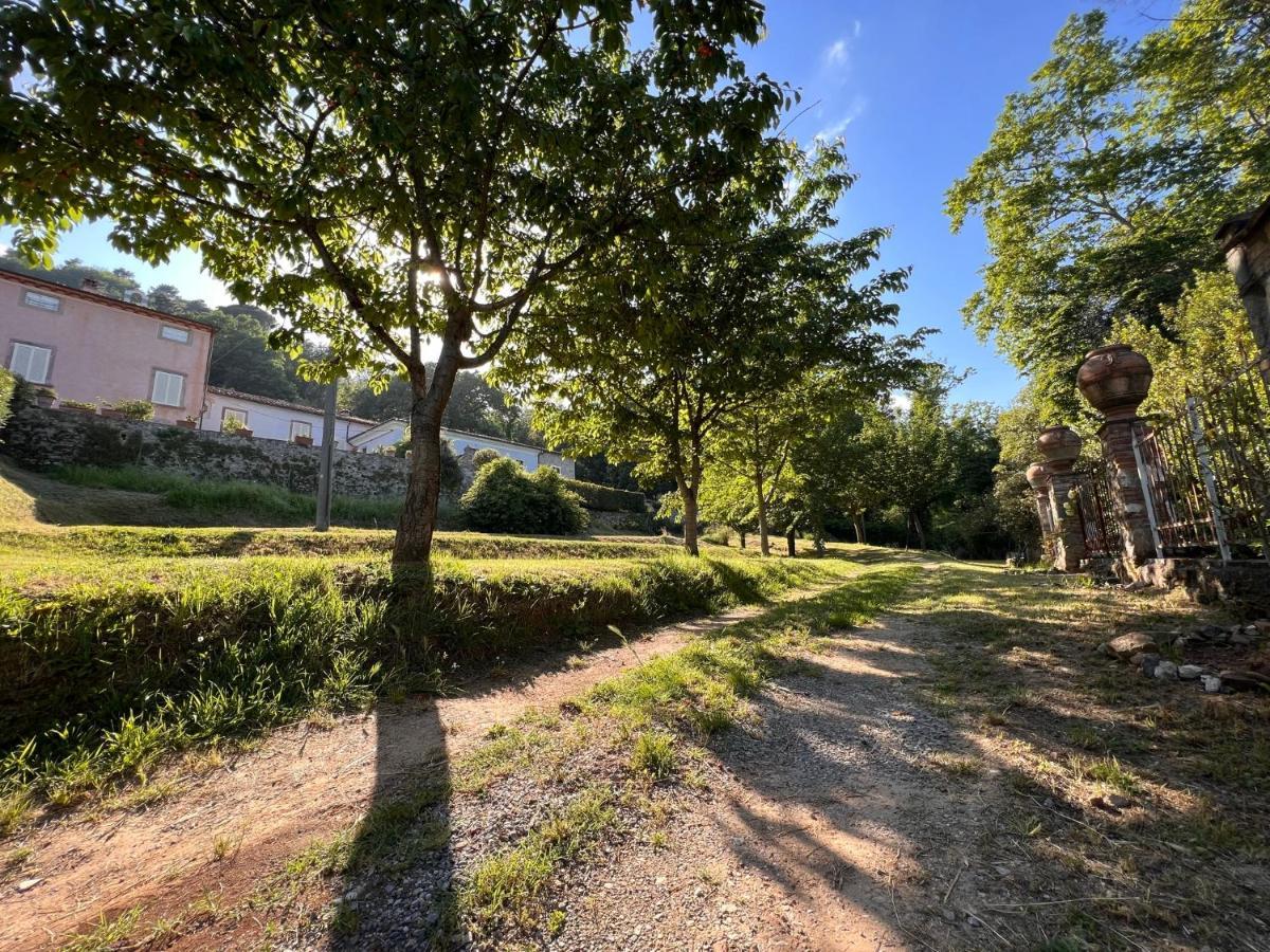 لوكا Borgo Al Canto Degli Alberi المظهر الخارجي الصورة