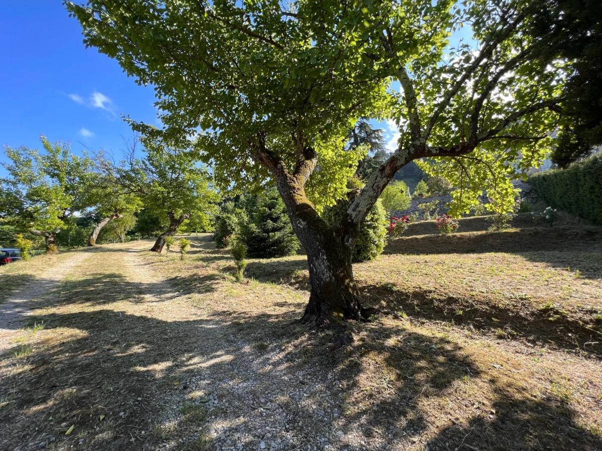 لوكا Borgo Al Canto Degli Alberi المظهر الخارجي الصورة